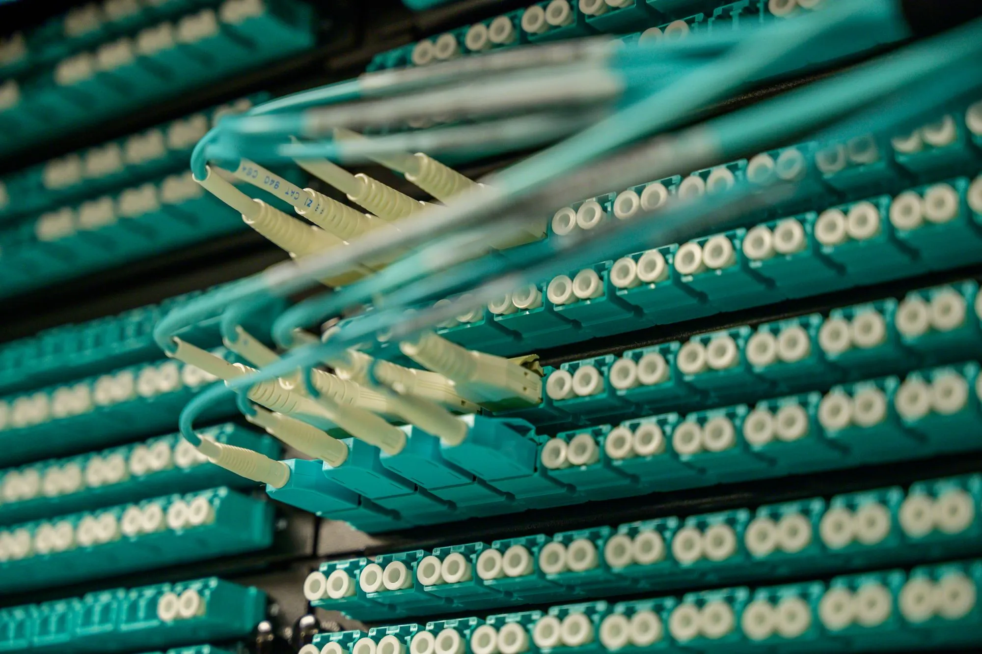 Close view of fiber optic cables connected to a panel